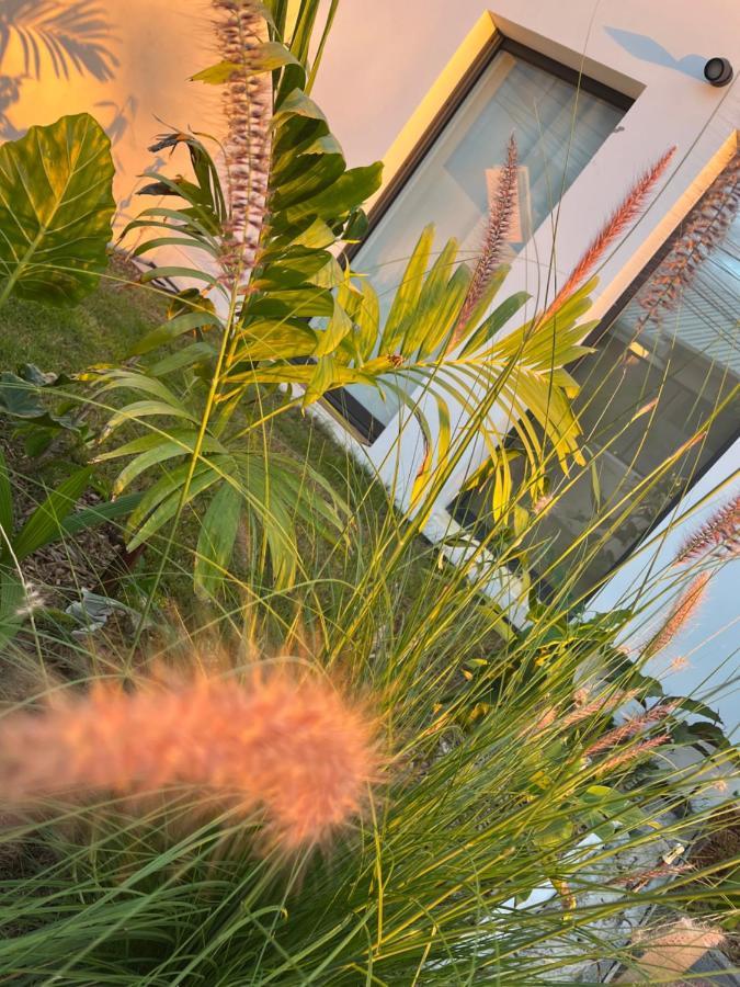 L'Empreinte-Oasis De Serenite Au Coeur D'Un Jardin Tropical Le Tampon Dış mekan fotoğraf